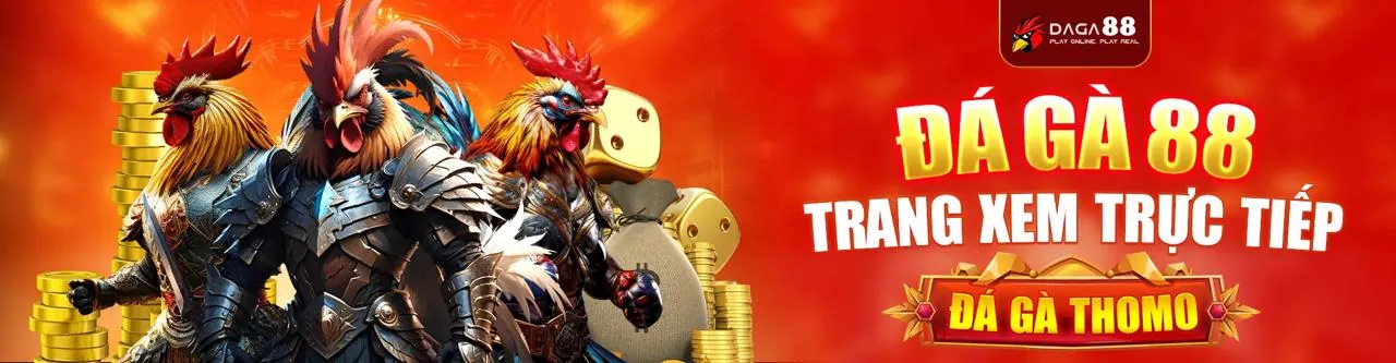 Người đàn ông tập trung xem cá cược thể thao trên ev99 để tìm tỷ lệ cược tốt nhất