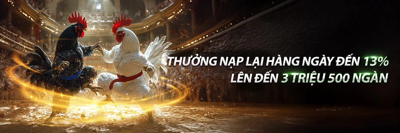 Giao diện trang chủ EV99 chính thức với các trò chơi cá cược trực tuyến
